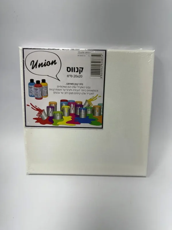 לוח קנווס 20/20 ס"מ