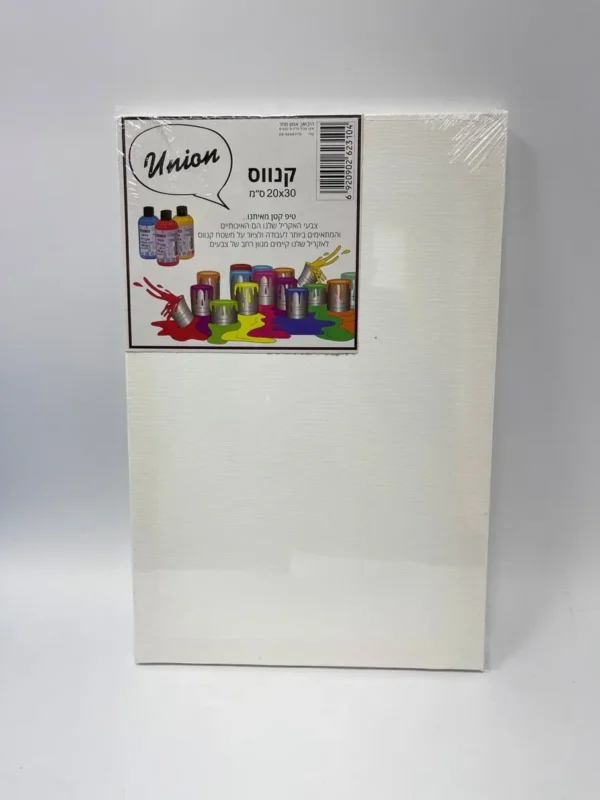לוח קנווס 20/30 ס"מ